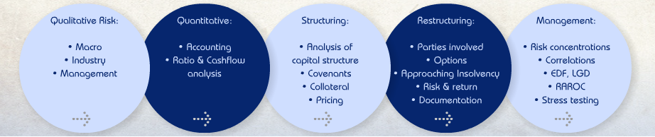 corporate-credit-analysis-m-training